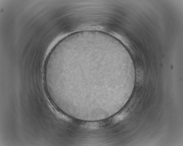 X0000067471094200605051641