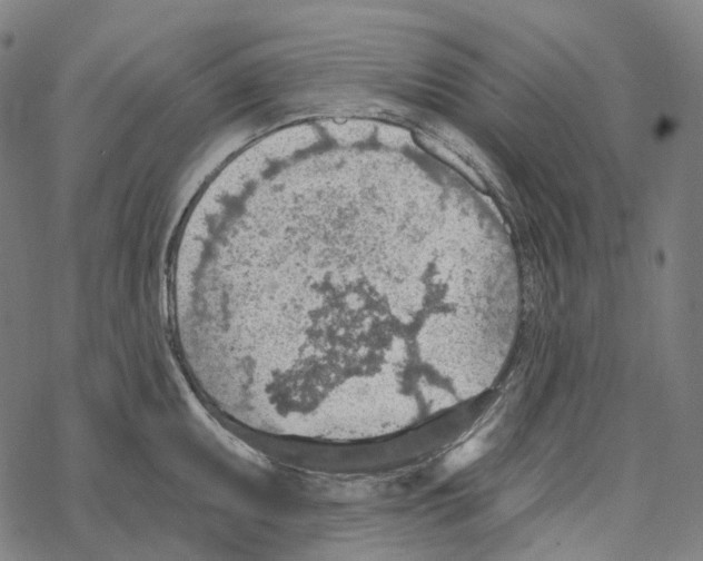 X0000067471095200605051641