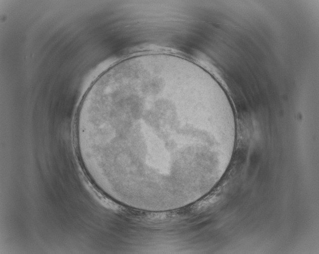 X0000067471098200605051641