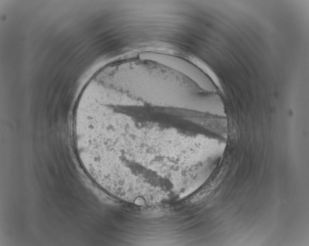 X0000067471099200605051641