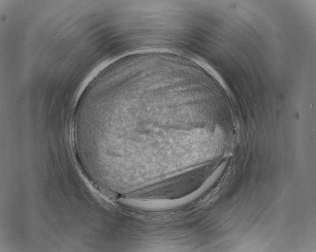 X0000067471101200605051641