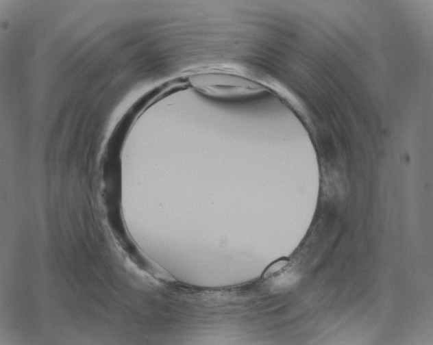 X0000067471102200605051641