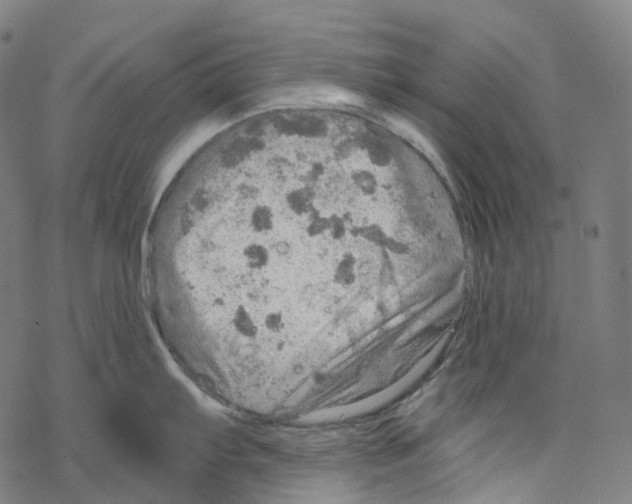 X0000067471103200605051641