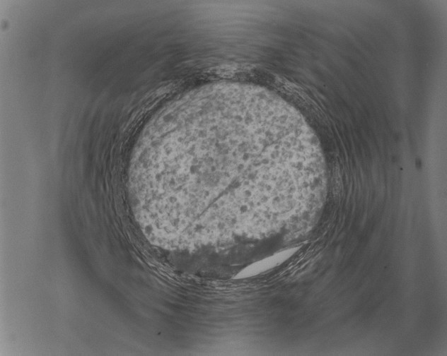 X0000067471105200605051640