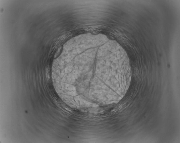 X0000067471106200605051640