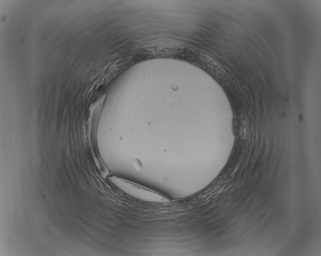 X0000067471108200605051640