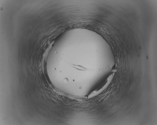 X0000067471109200605051640