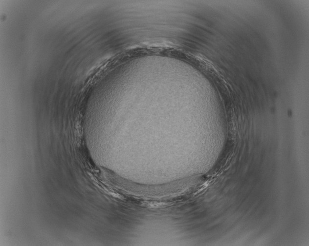 X0000067471110200605051640