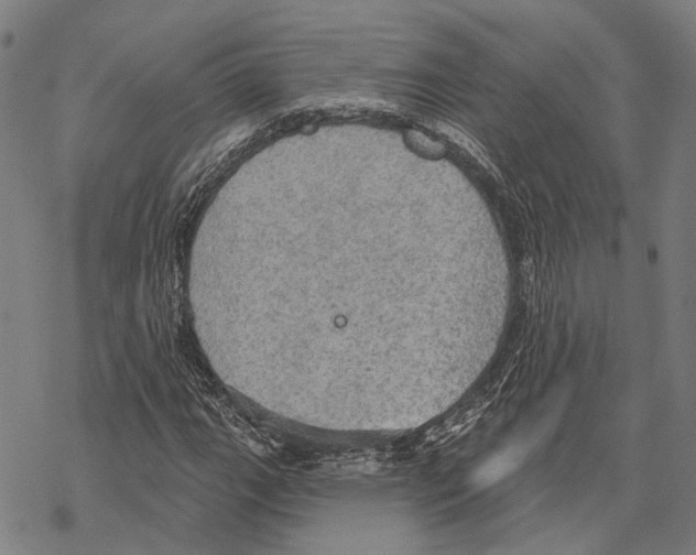 X0000067471111200605051640