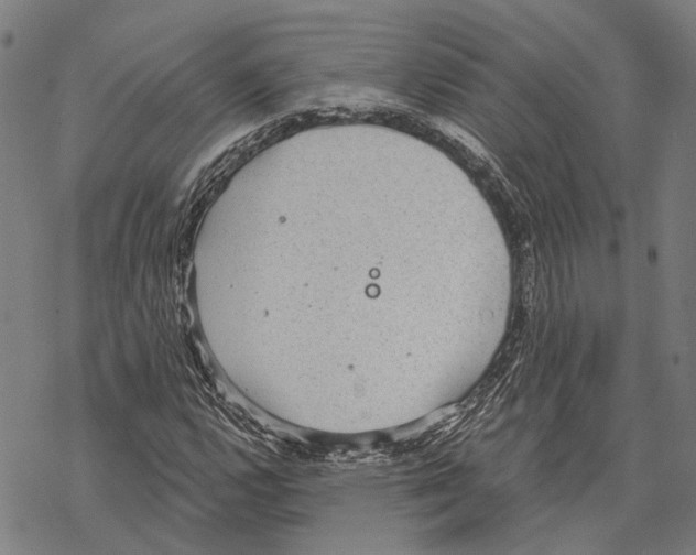 X0000067471112200605051640