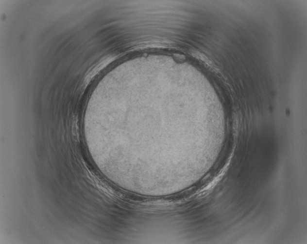 X0000067471113200605051640