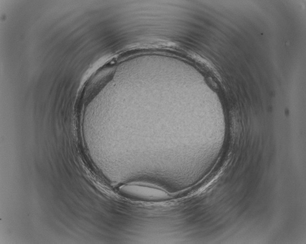 X0000067471114200605051640