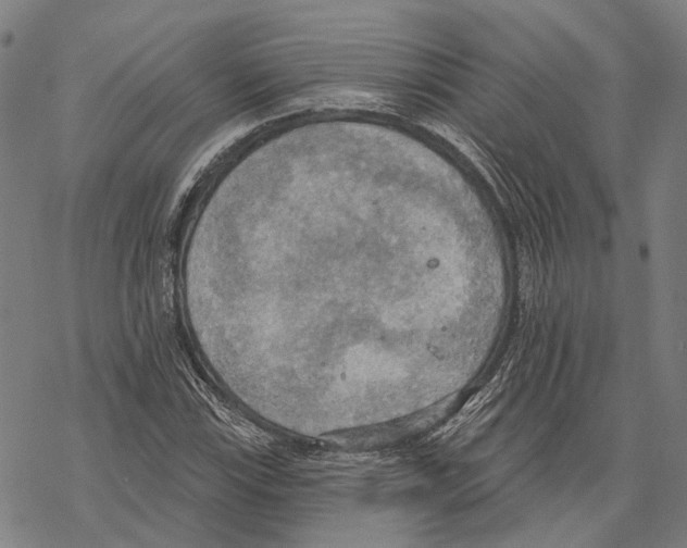 X0000067471115200605051640