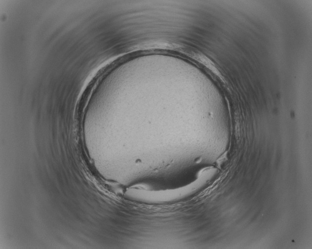 X0000067471116200605051640