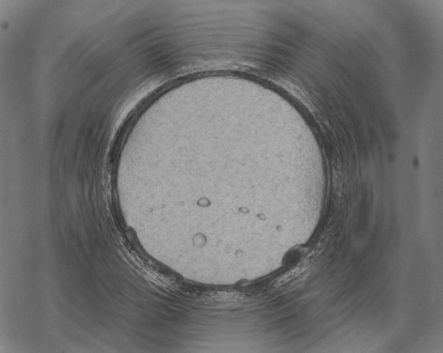 X0000067471119200605051640