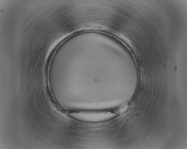 X0000067471120200605051640