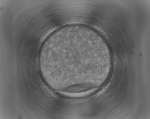 X0000067471121200605051640