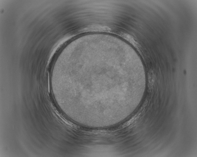 X0000067471123200605051640