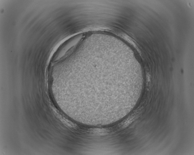 X0000067471124200605051640