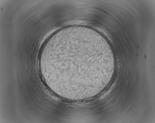 X0000067471125200605051640