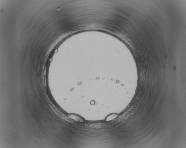 X0000067471126200605051640