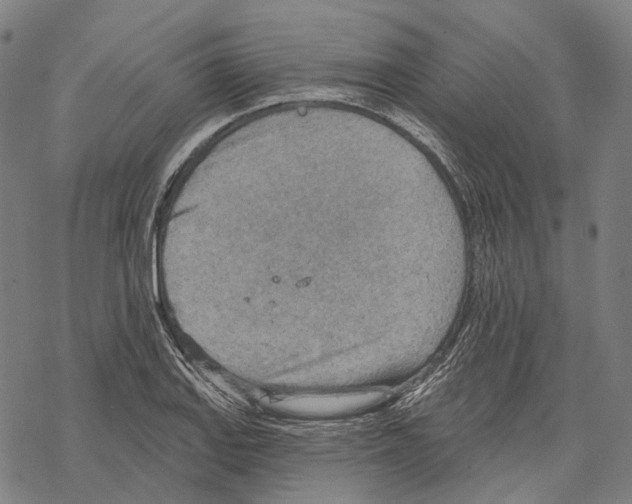 X0000067471127200605051640