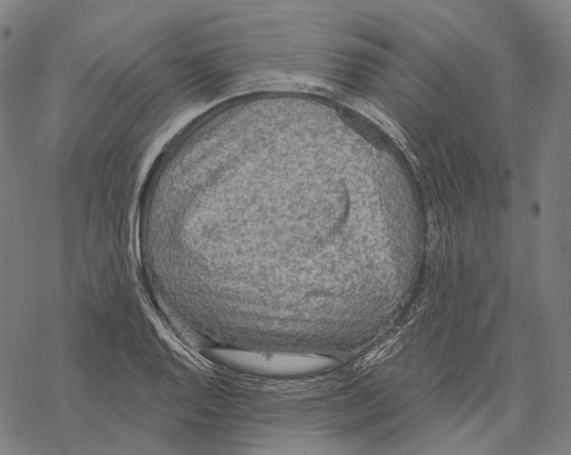 X0000067471128200605051640