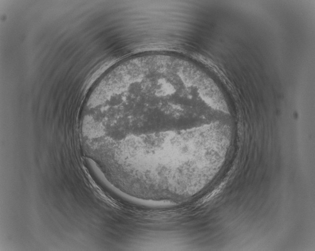 X0000067471129200605051640