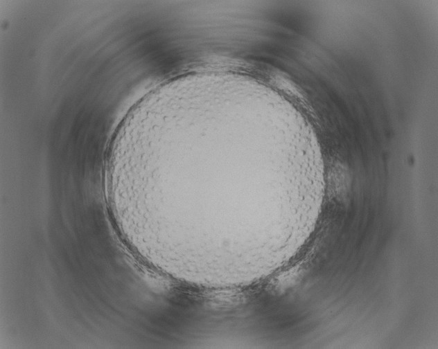 X0000067471130200605051640