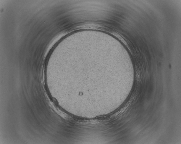 X0000067471131200605051640