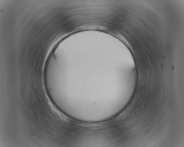 X0000067471132200605051640