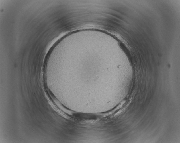 X0000067471134200605051640