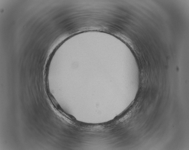 X0000067471135200605051640