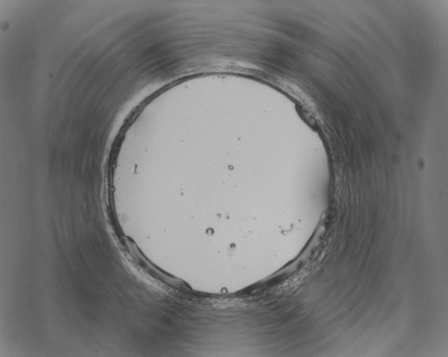 X0000067471136200605051640