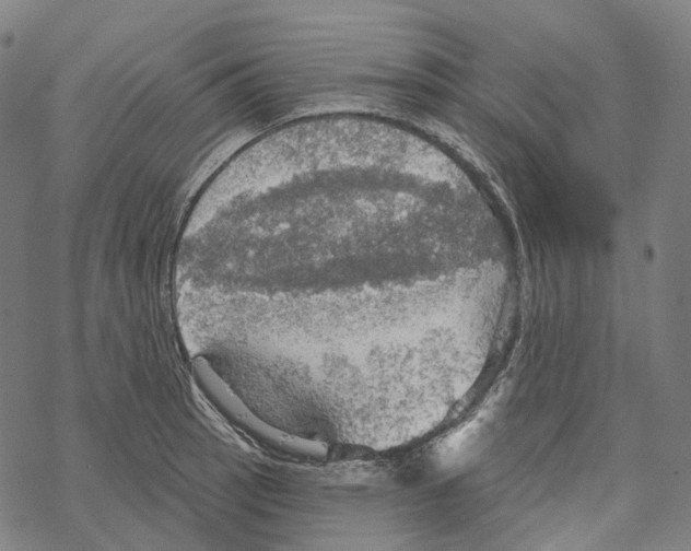 X0000067471137200605051640