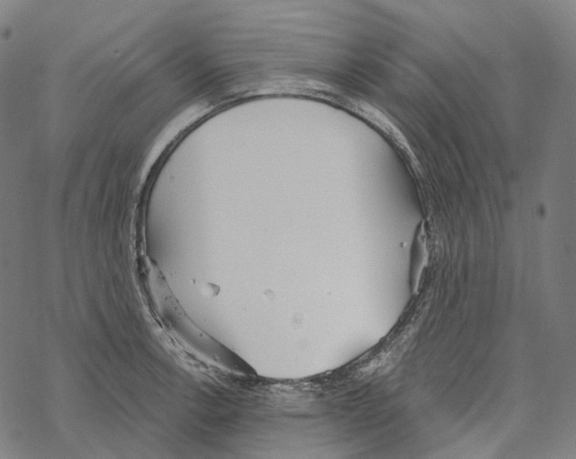 X0000067471138200605051640