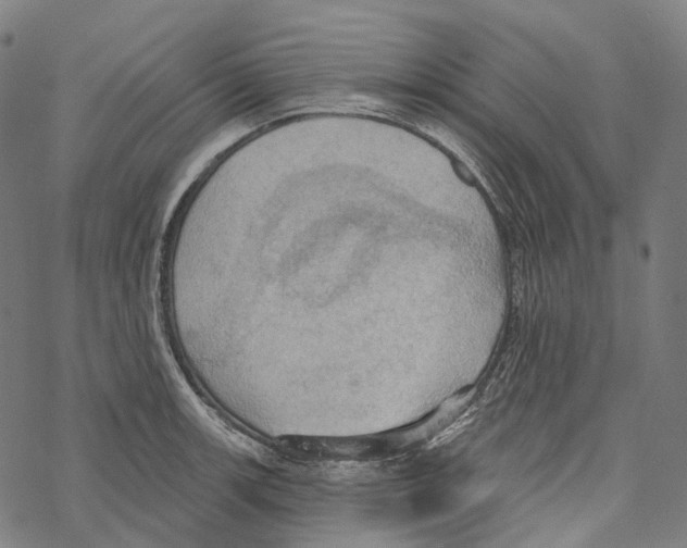 X0000067471139200605051640