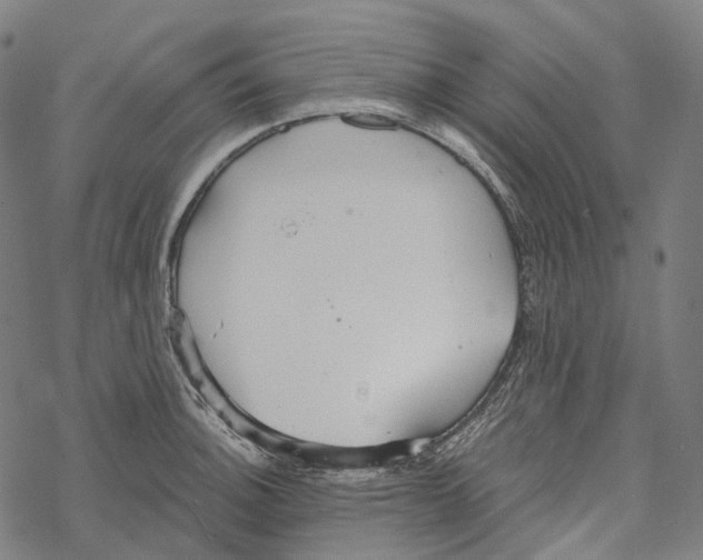 X0000067471140200605051640