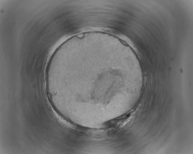 X0000067471143200605051640