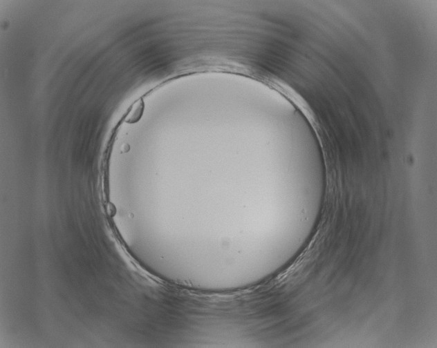 X0000067471144200605051640