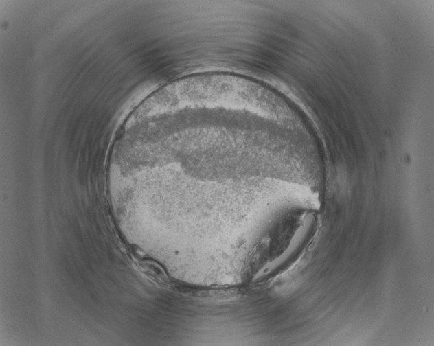 X0000067471145200605051640