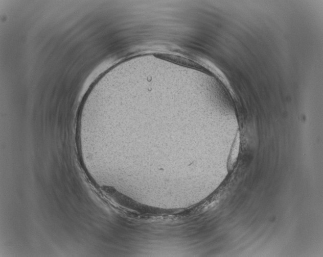 X0000067471146200605051640