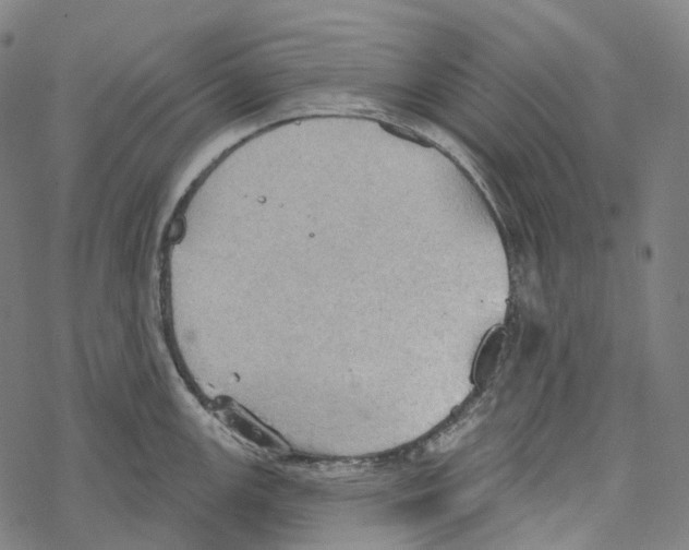 X0000067471147200605051640