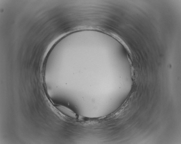 X0000067471148200605051640