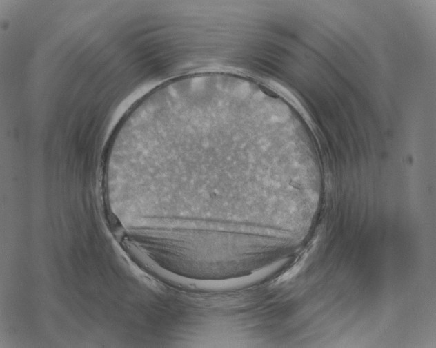 X0000067471149200605051640