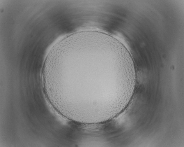 X0000067471150200605051640