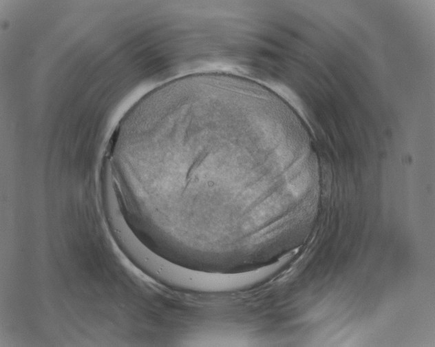 X0000067471151200605051641