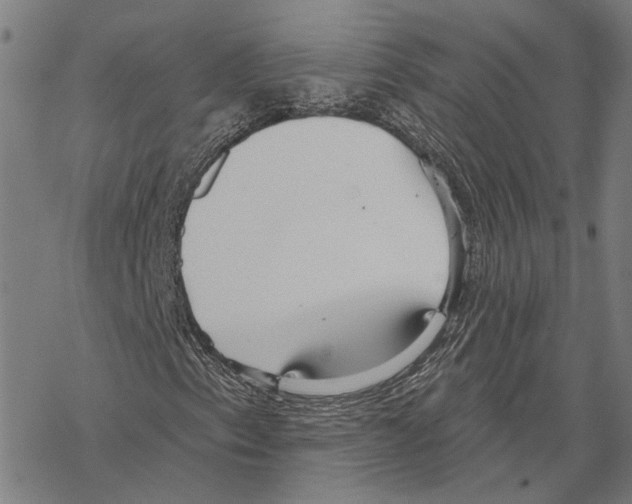 X0000067471153200605051640