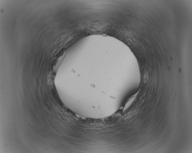 X0000067471156200605051640