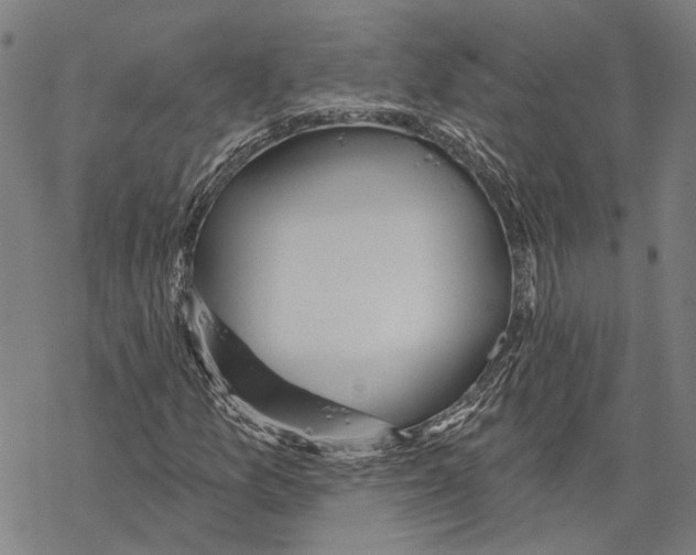 X0000067471157200605051640